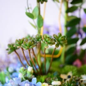 Lidor horesh - final floral project - orit hertz floral design school