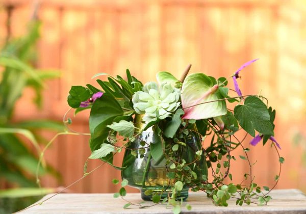DIY –  שזירת עיצוב פרחים אורגני טבעי